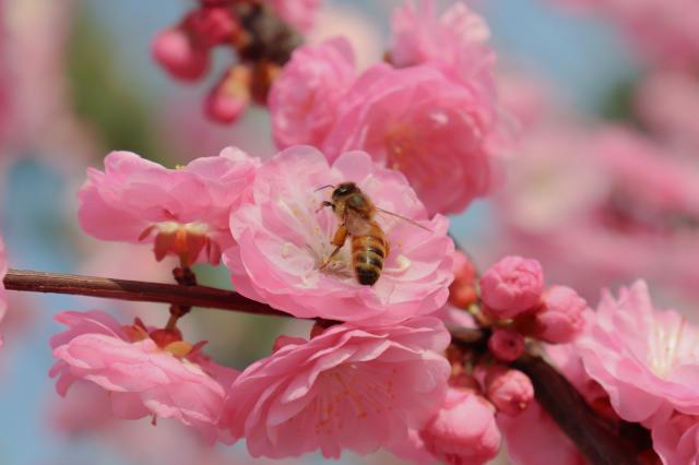 suncitygroup太阳集团