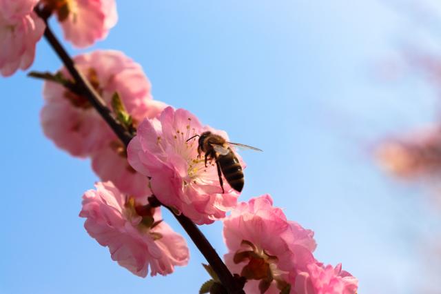 suncitygroup太阳集团