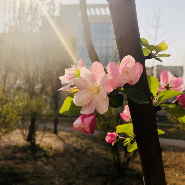 suncitygroup太阳集团