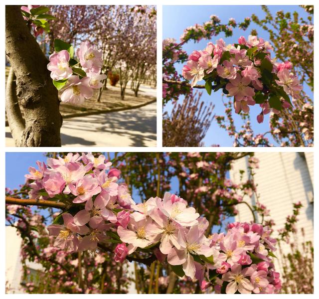 suncitygroup太阳集团