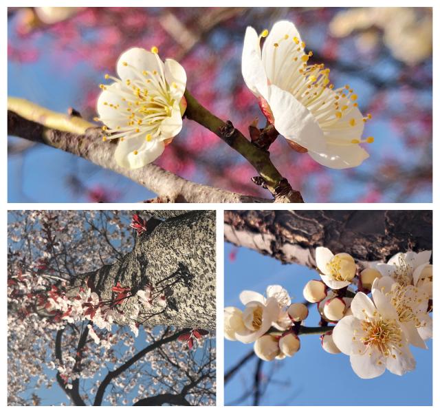 suncitygroup太阳集团