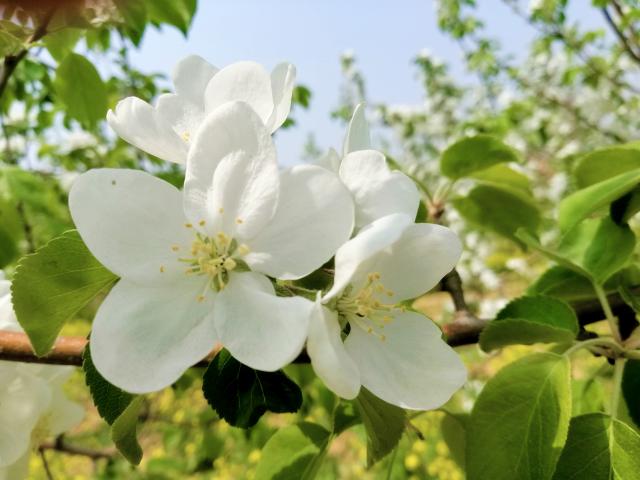 suncitygroup太阳集团