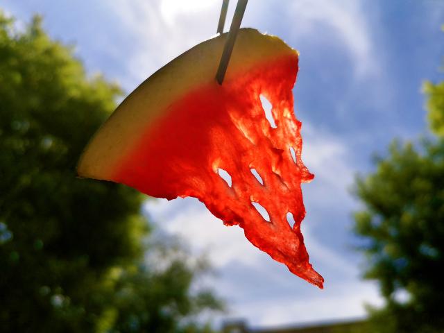 suncitygroup太阳集团