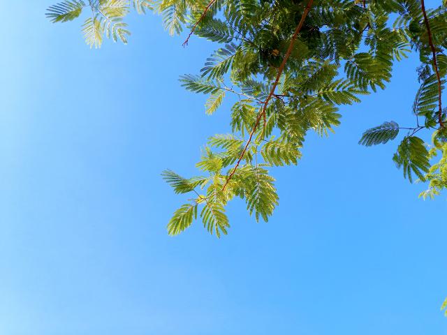 suncitygroup太阳集团