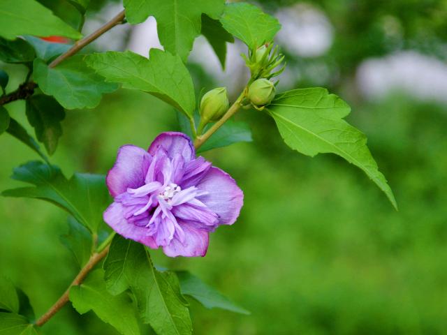 suncitygroup太阳集团