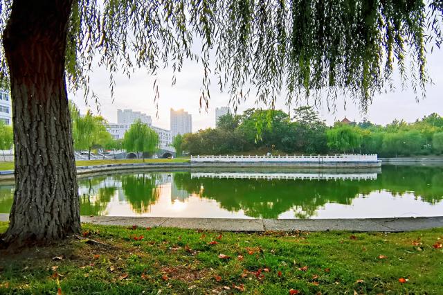 suncitygroup太阳集团