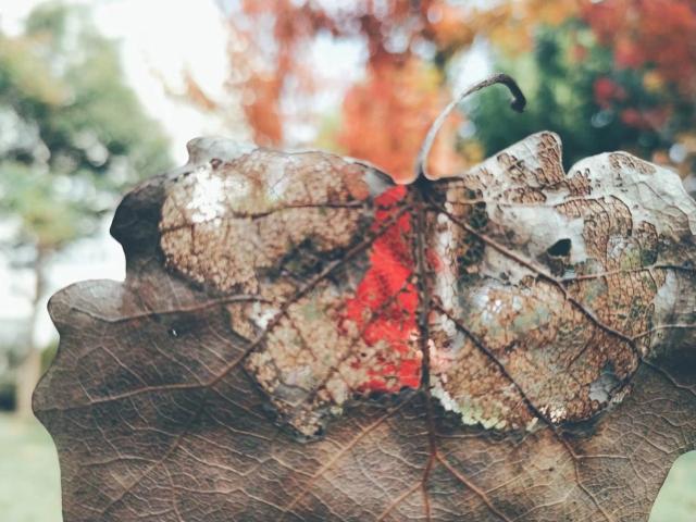 suncitygroup太阳集团