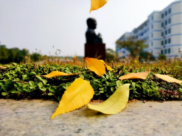 suncitygroup太阳集团