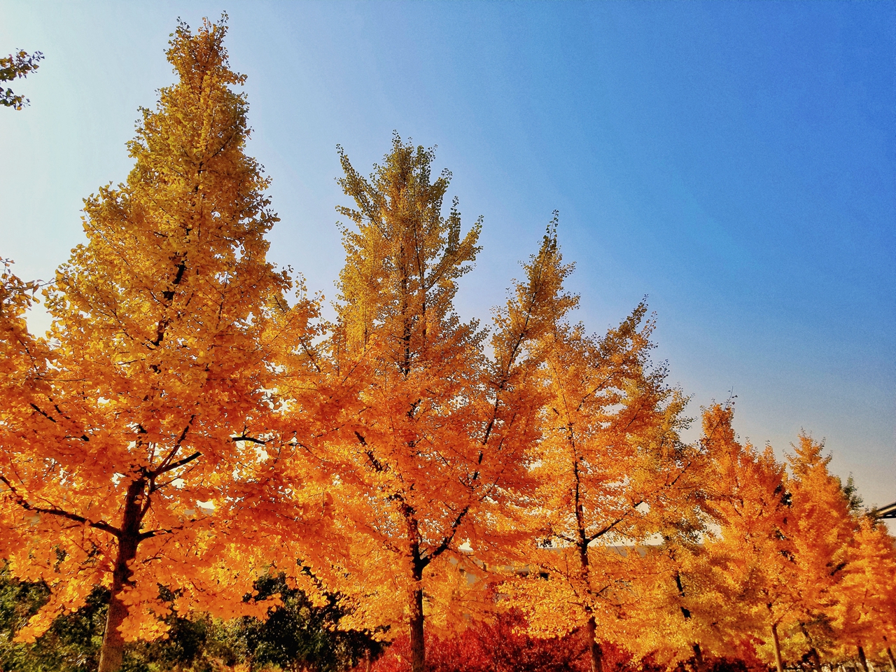 suncitygroup太阳集团