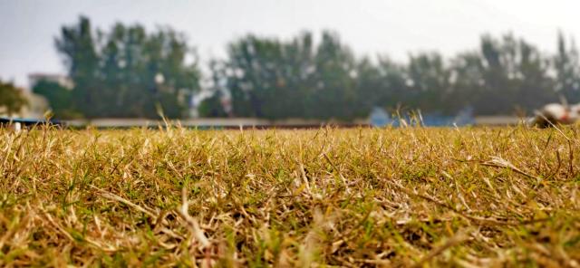 suncitygroup太阳集团