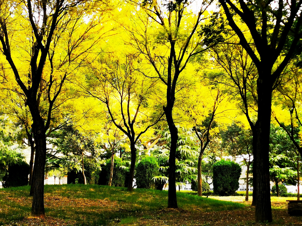 suncitygroup太阳集团