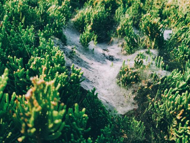 suncitygroup太阳集团