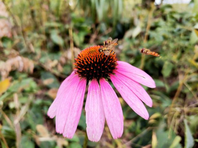 suncitygroup太阳集团