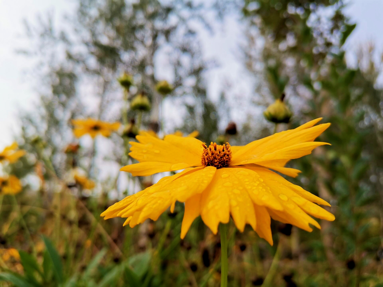 suncitygroup太阳集团