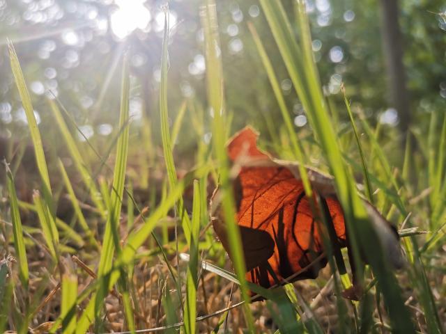 suncitygroup太阳集团