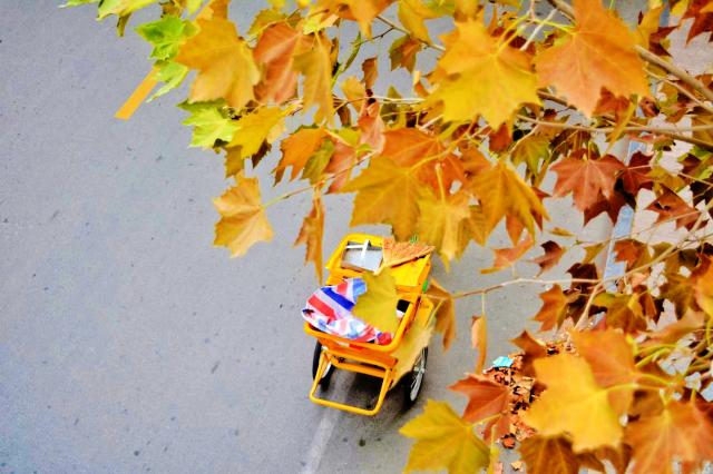 suncitygroup太阳集团