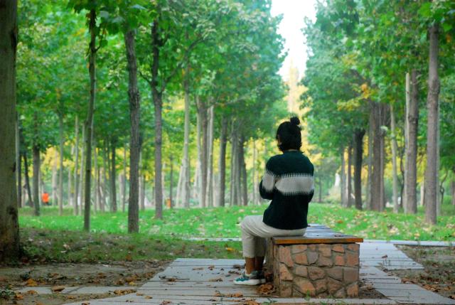 suncitygroup太阳集团