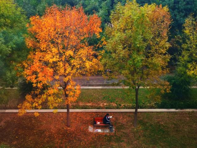 suncitygroup太阳集团