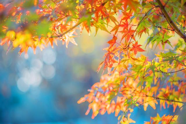 suncitygroup太阳集团