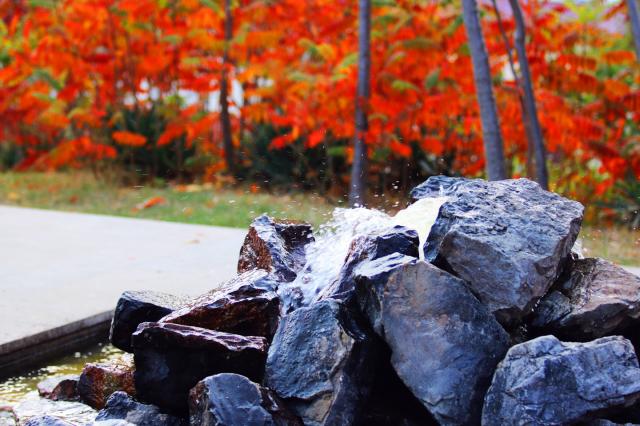 suncitygroup太阳集团