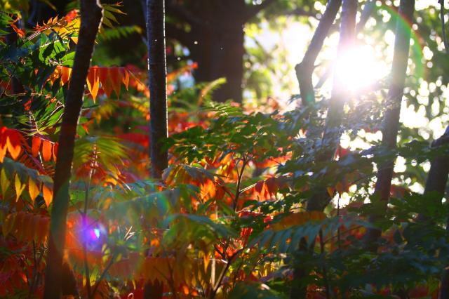 suncitygroup太阳集团