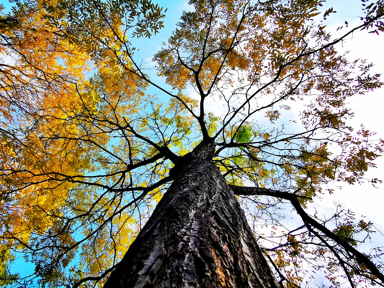 suncitygroup太阳集团