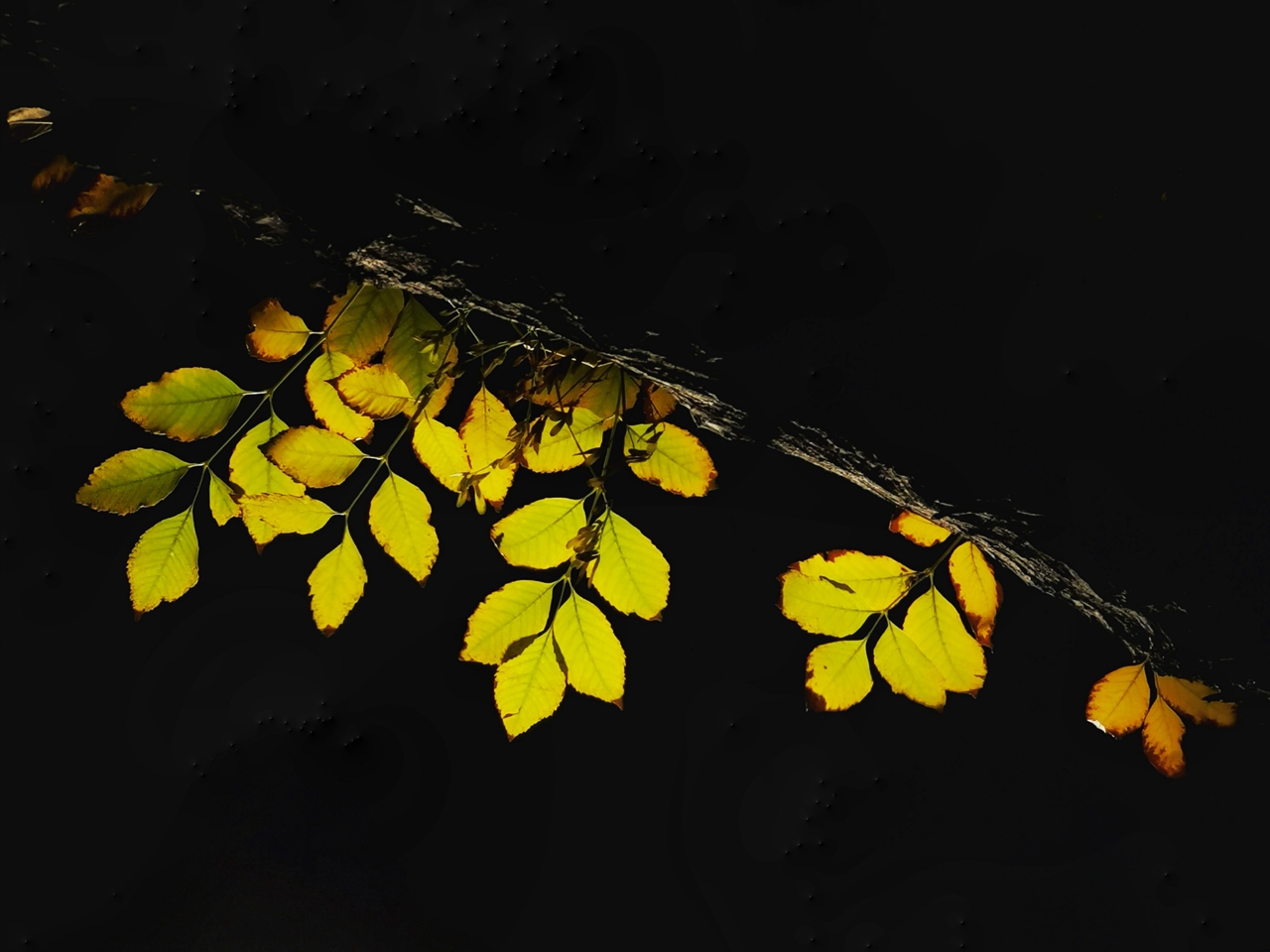 suncitygroup太阳集团