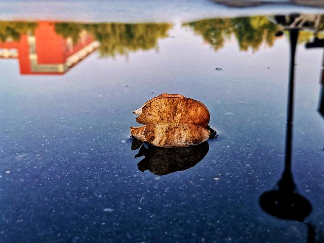 suncitygroup太阳集团