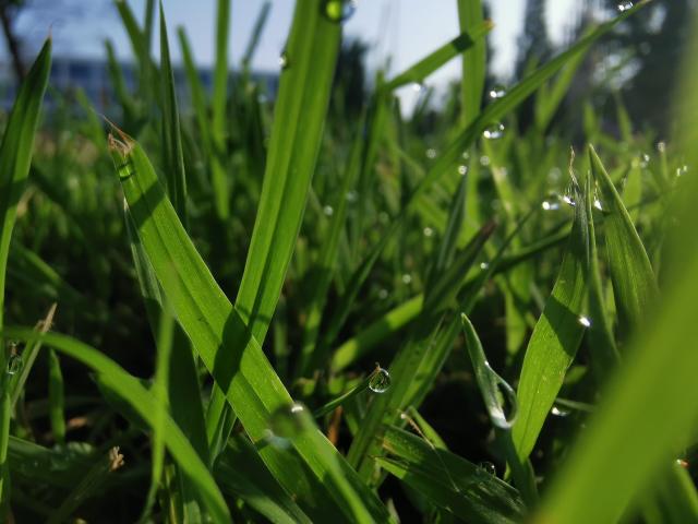 suncitygroup太阳集团