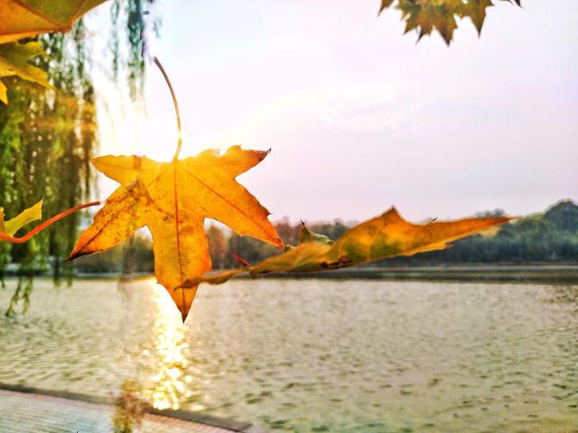 suncitygroup太阳集团