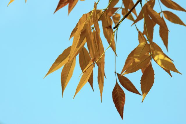 suncitygroup太阳集团