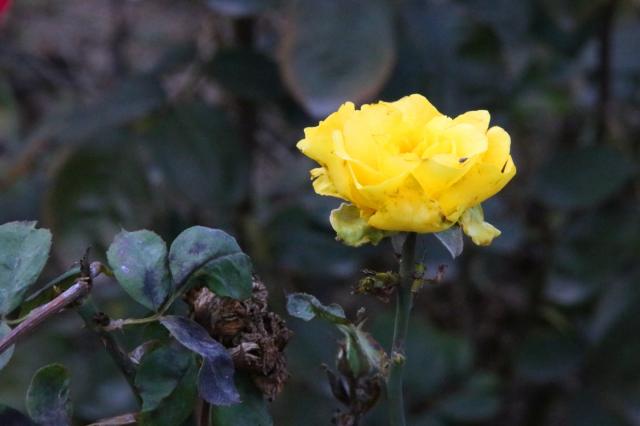 suncitygroup太阳集团