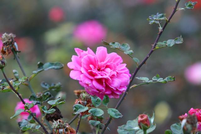 suncitygroup太阳集团