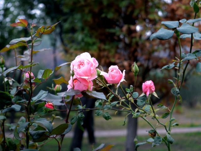 suncitygroup太阳集团