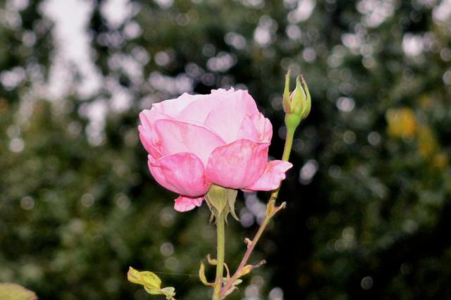 suncitygroup太阳集团