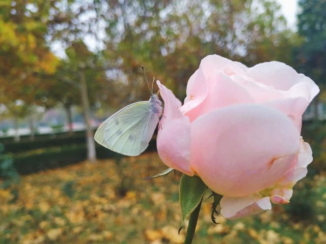 suncitygroup太阳集团