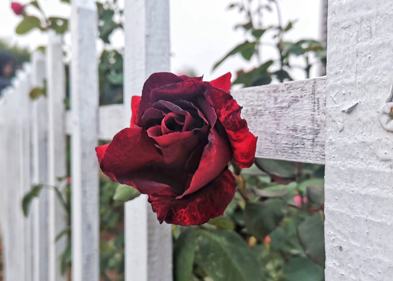 suncitygroup太阳集团