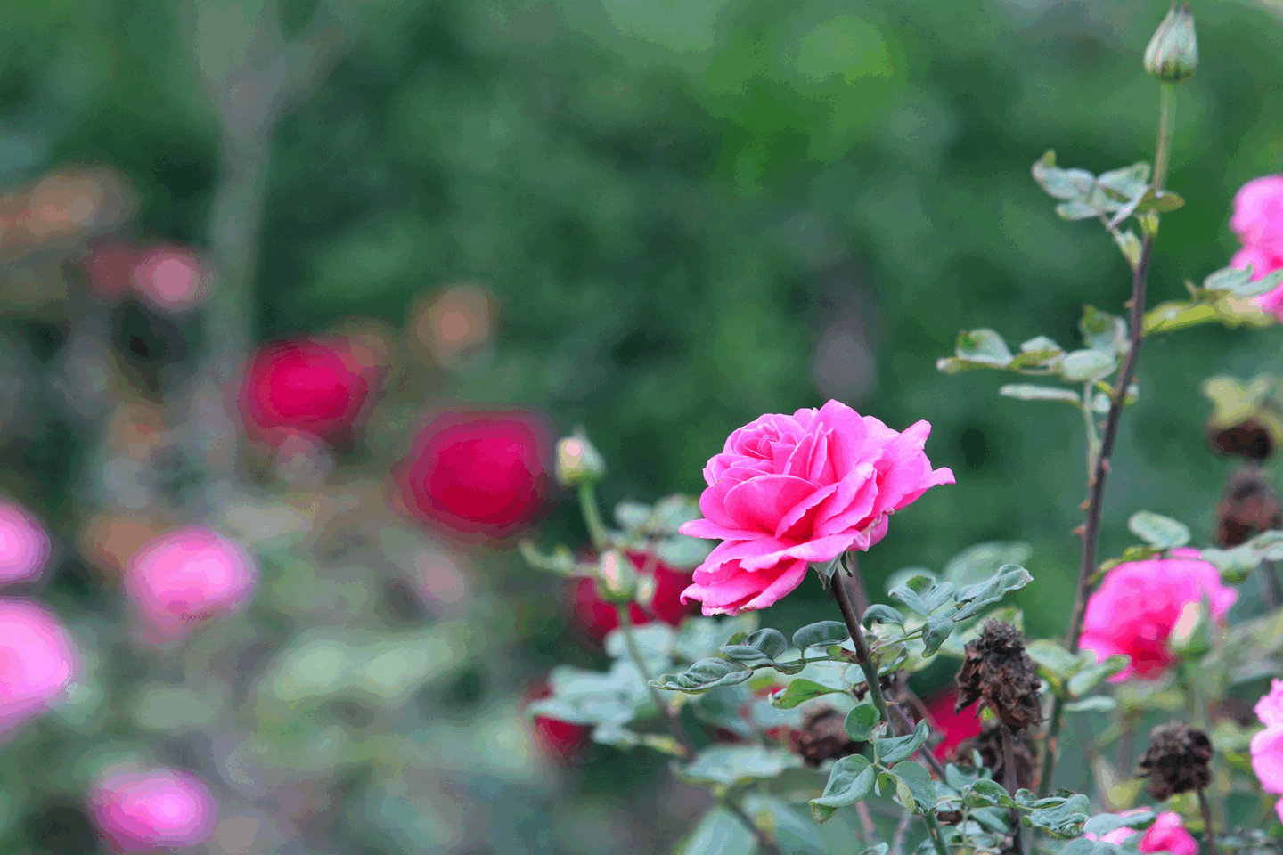 suncitygroup太阳集团