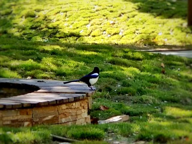 suncitygroup太阳集团