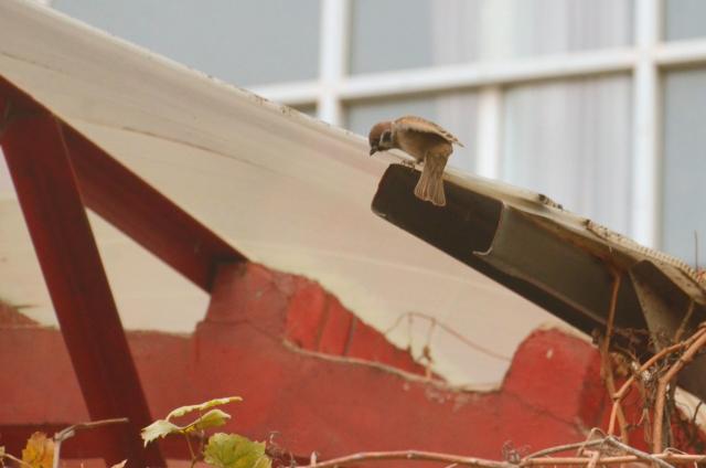 suncitygroup太阳集团