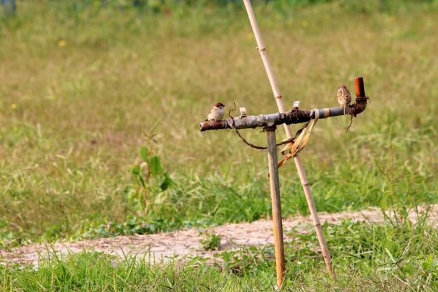 suncitygroup太阳集团