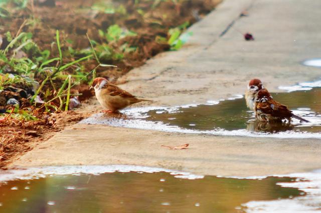 suncitygroup太阳集团