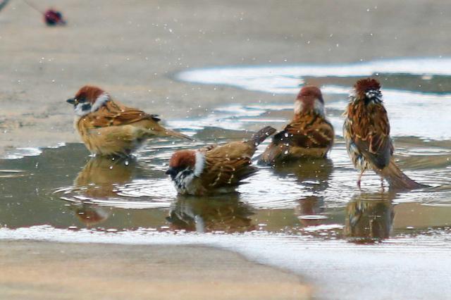 suncitygroup太阳集团