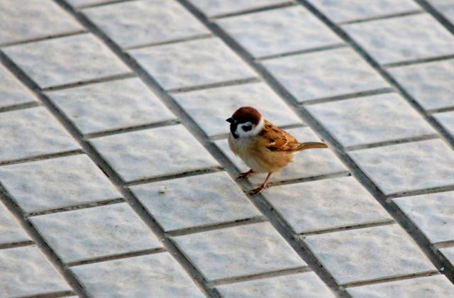 suncitygroup太阳集团