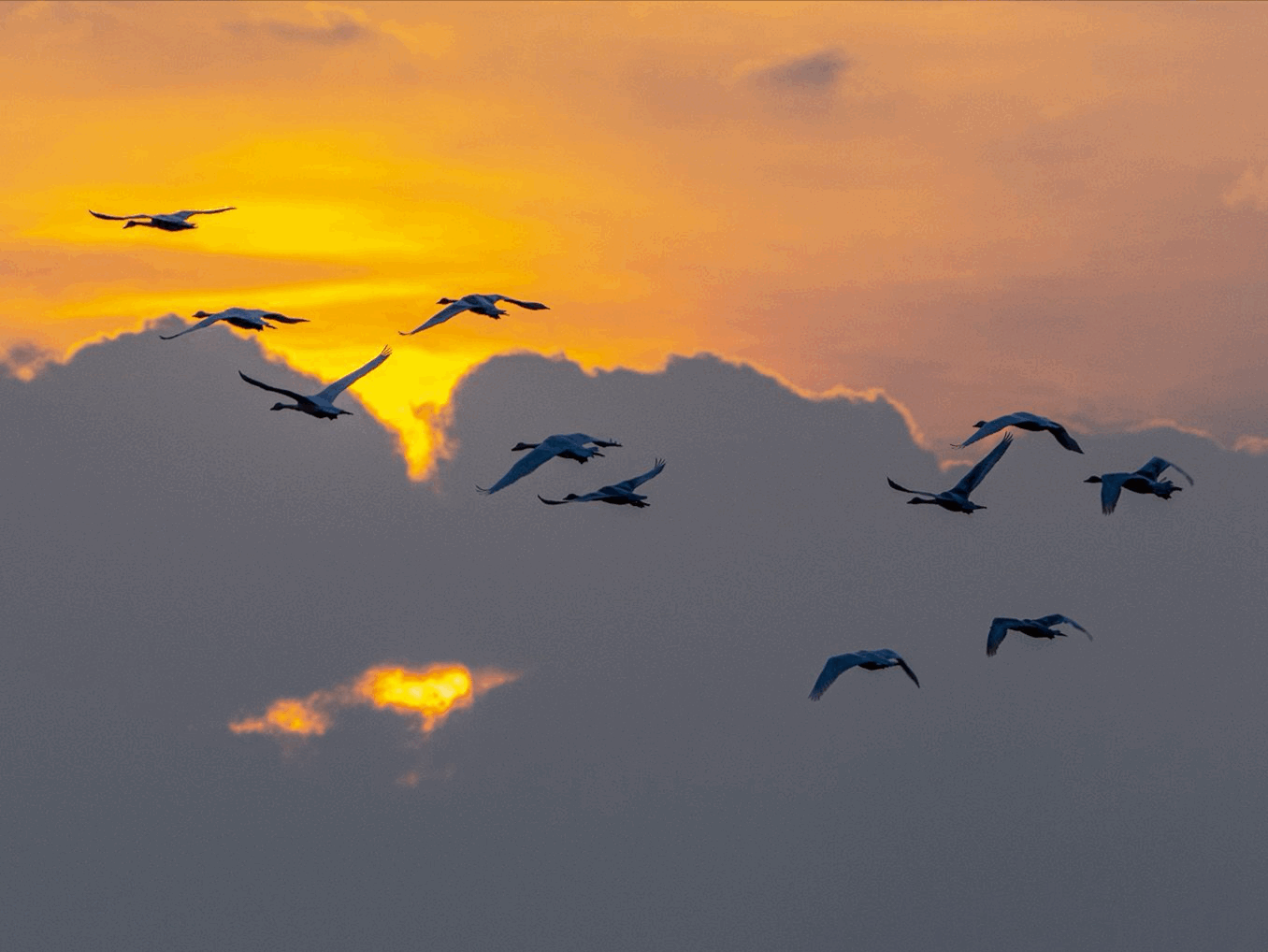 suncitygroup太阳集团