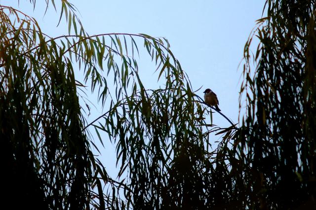 suncitygroup太阳集团