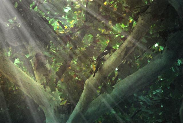 suncitygroup太阳集团