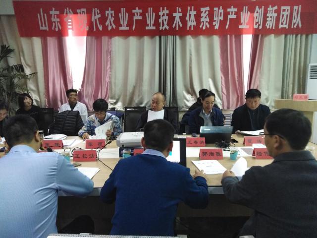 suncitygroup太阳集团