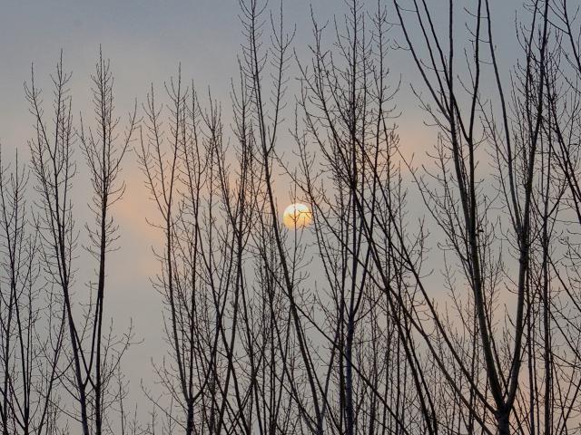 suncitygroup太阳集团