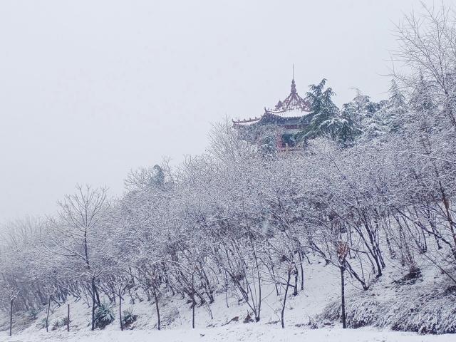 suncitygroup太阳集团